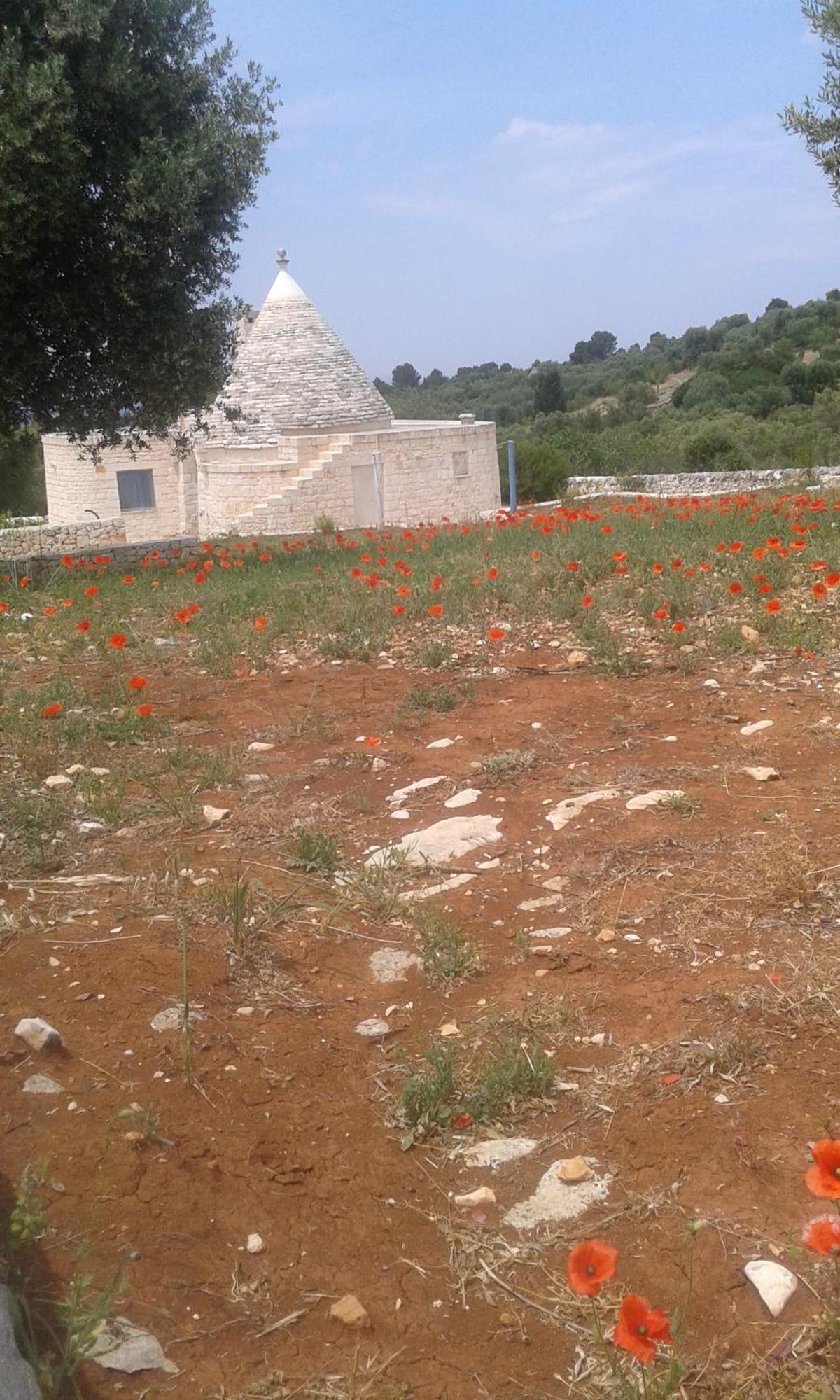Trullo Alto Salento Villa Чистернино Екстериор снимка